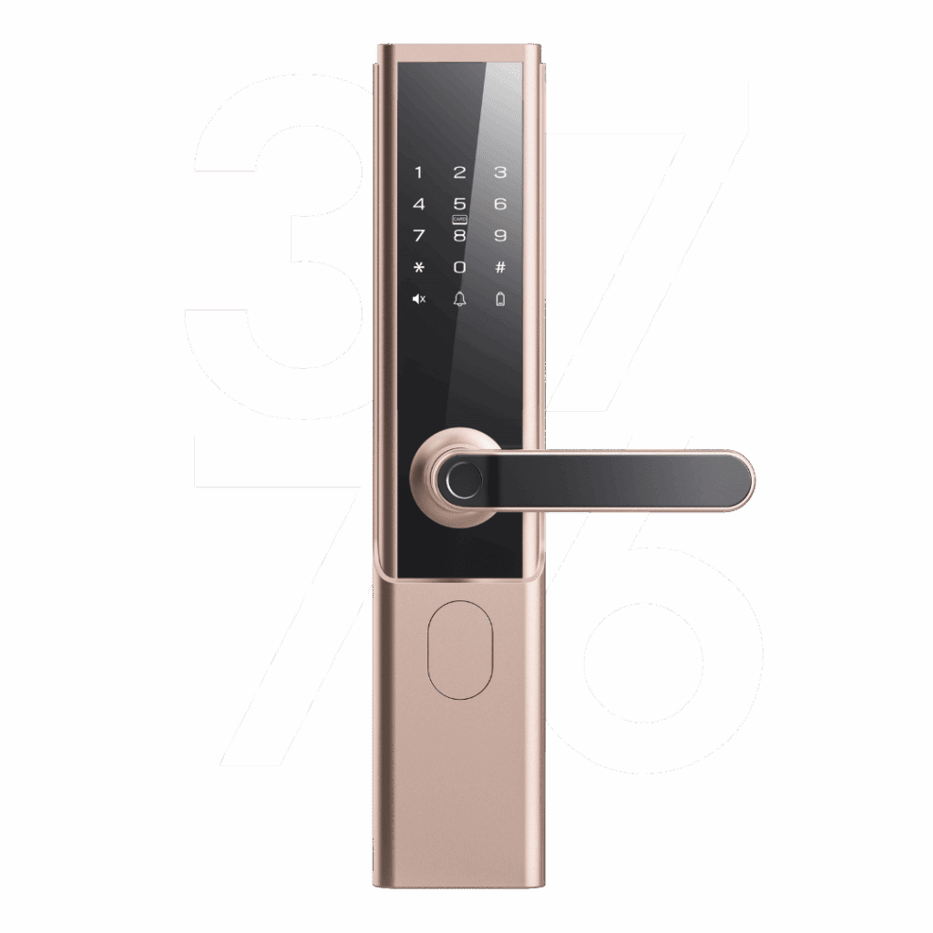 Raizo Smart Lock Malaysia R3776