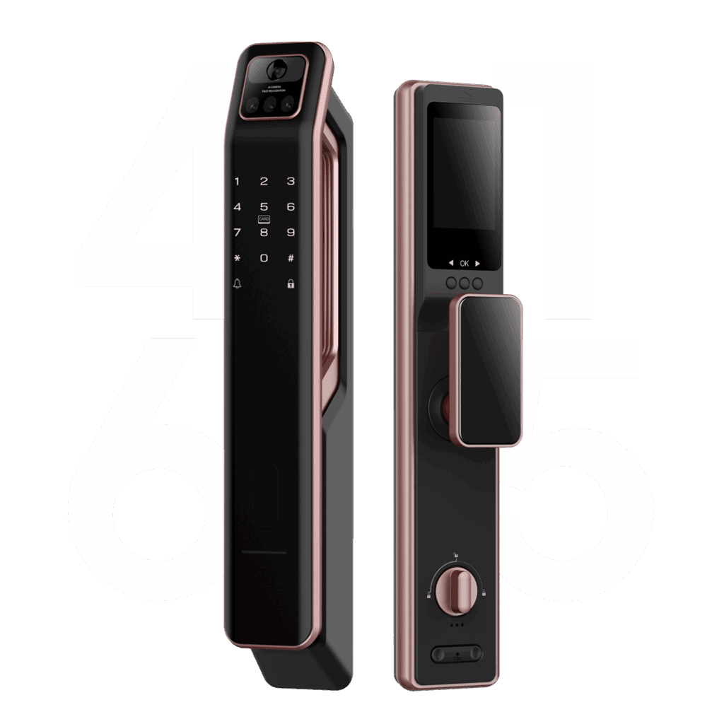 Raizo Smart Lock Malaysia R4165